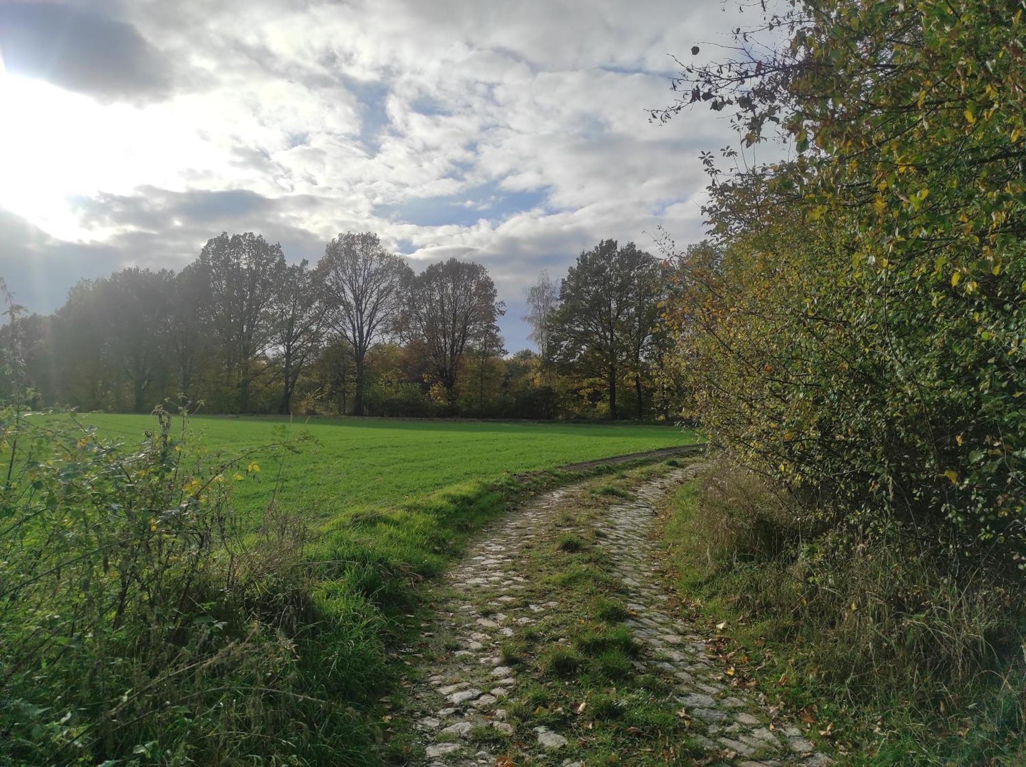 Lazurowa Prowansja - Agroturystyka Villa Toscana Boleslawiec  Exteriér fotografie